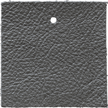 Pigmented leather swatch