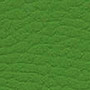 Upholstery leather pigmented green