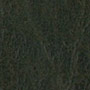 Upholstery leather semi-aniline dark green