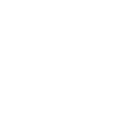 Bill Amberg Studio printed leather link